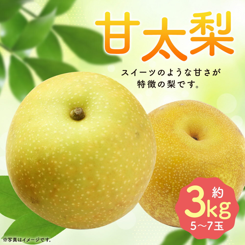 【ふるさと納税】毎床さんちのあまーい甘太梨 約3kg 5～7玉 なし フルーツ 果物 球磨郡産 熊本県産 九州産 人吉市 送料無料【2024年9月下旬より順次発送予定】