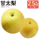 【ふるさと納税】毎床さんちのあまーい甘太梨 約2.5kg 4~7玉 なし フルーツ 果物 球磨郡産 熊本県産 九州産 人吉市 送料無料【2025年9月下旬から10月上旬迄順次発送予定】