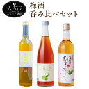【ふるさと納税】梅酒呑み比べセット 3本 500ml 720ml 各1本 3種類 セット 飲み比べ 酒 梅酒 お酒 アルコール 球磨焼酎 人吉市 送料無料