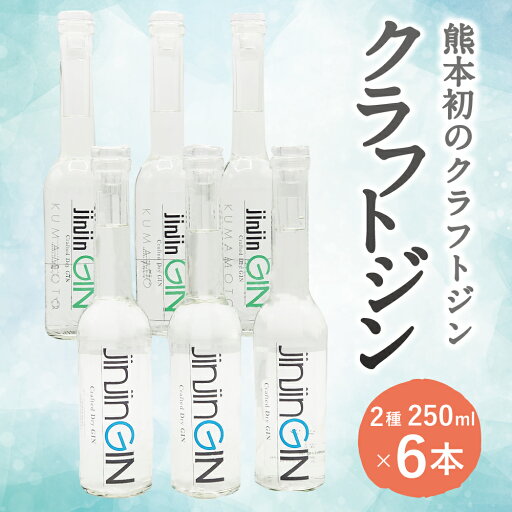 【ふるさと納税】球磨焼酎ベースの熊本初クラフトジンセット 合計6本 2種類 250ml×各3本 クラフトジン 球磨焼酎 熊本県産 人吉市産 ジン 焼酎 お酒 アルコール セット ストレート ロック 送料無料