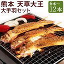【ふるさと納税】熊本 天草大王 大手羽 6本/9本/12本 選べる内容量 1パック3本入り 約25cm 手羽 鶏肉 味付き おつまみ 熊本県産 九州産 国産 冷...