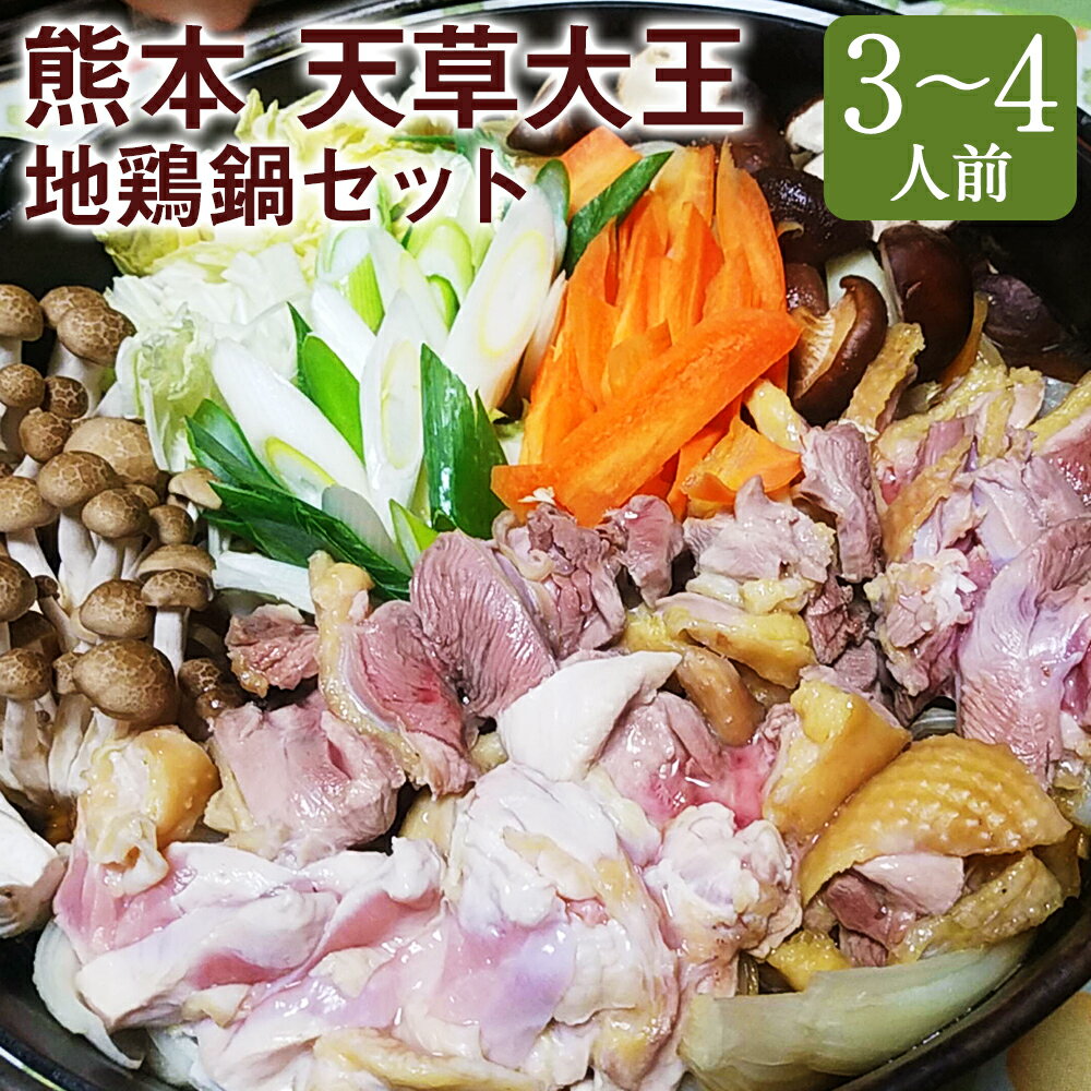 くまもと直送 天草大王 地鶏鍋セット 3〜4人前 鶏肉 地鶏 鍋 熊本県産 九州産 国産 冷凍 送料無料
