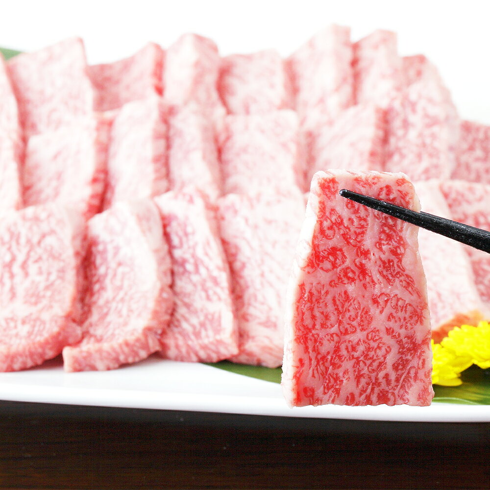 【ふるさと納税】くまもと黒毛和牛 焼き肉用ロース 合計600g 300g×2パック お肉 和牛 牛肉 カルビ 焼肉 熊本県産 九州産 国産 冷凍 送料無料 f432032-hitoyoshi-10003335 熊本県人吉市 サンプル画像3