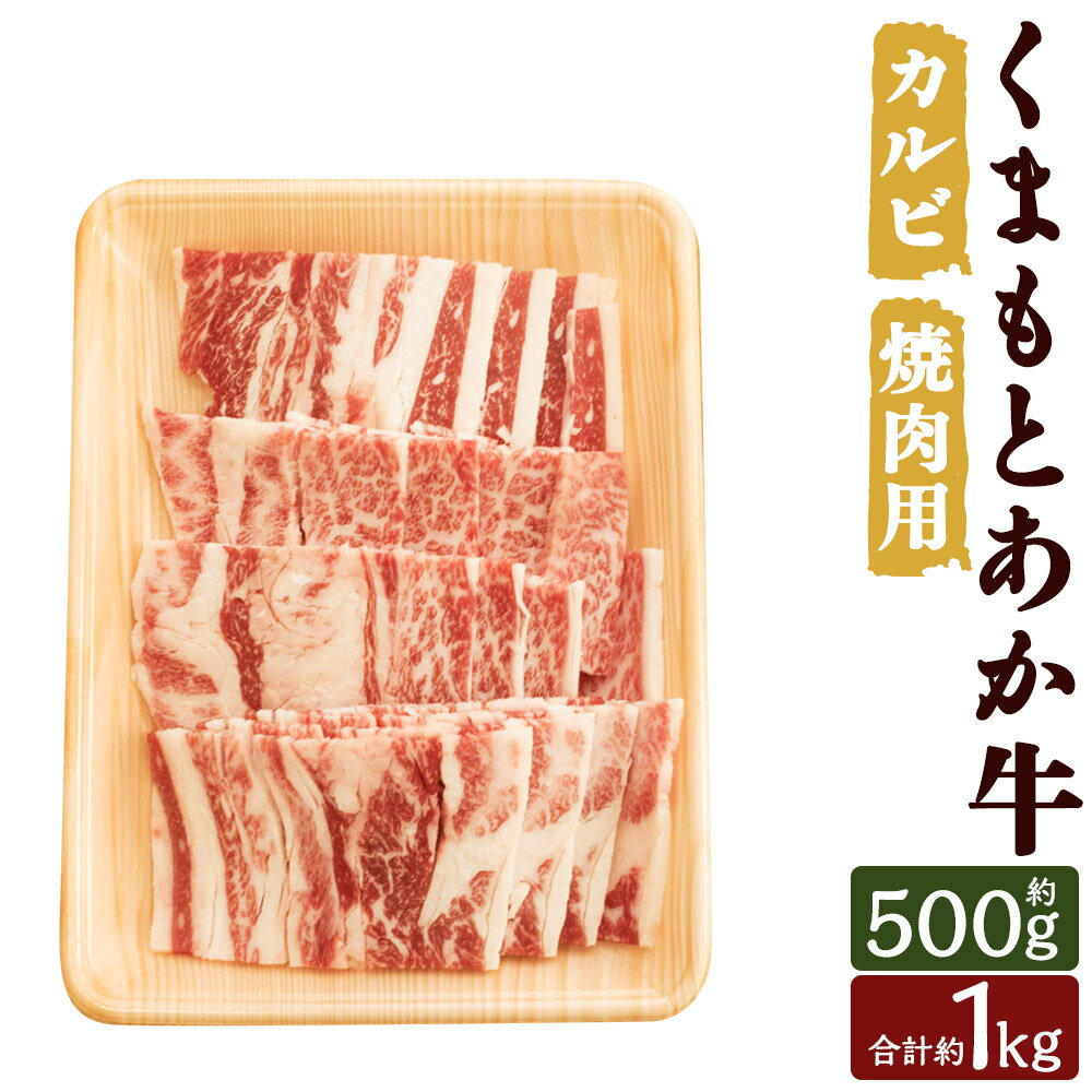 くまもとあか牛 カルビ 焼肉用 約500g/約1kg 選べる内容量 お肉 和牛 牛肉 焼き肉 カルビ 熊本県産 九州産 国産 冷凍 送料無料