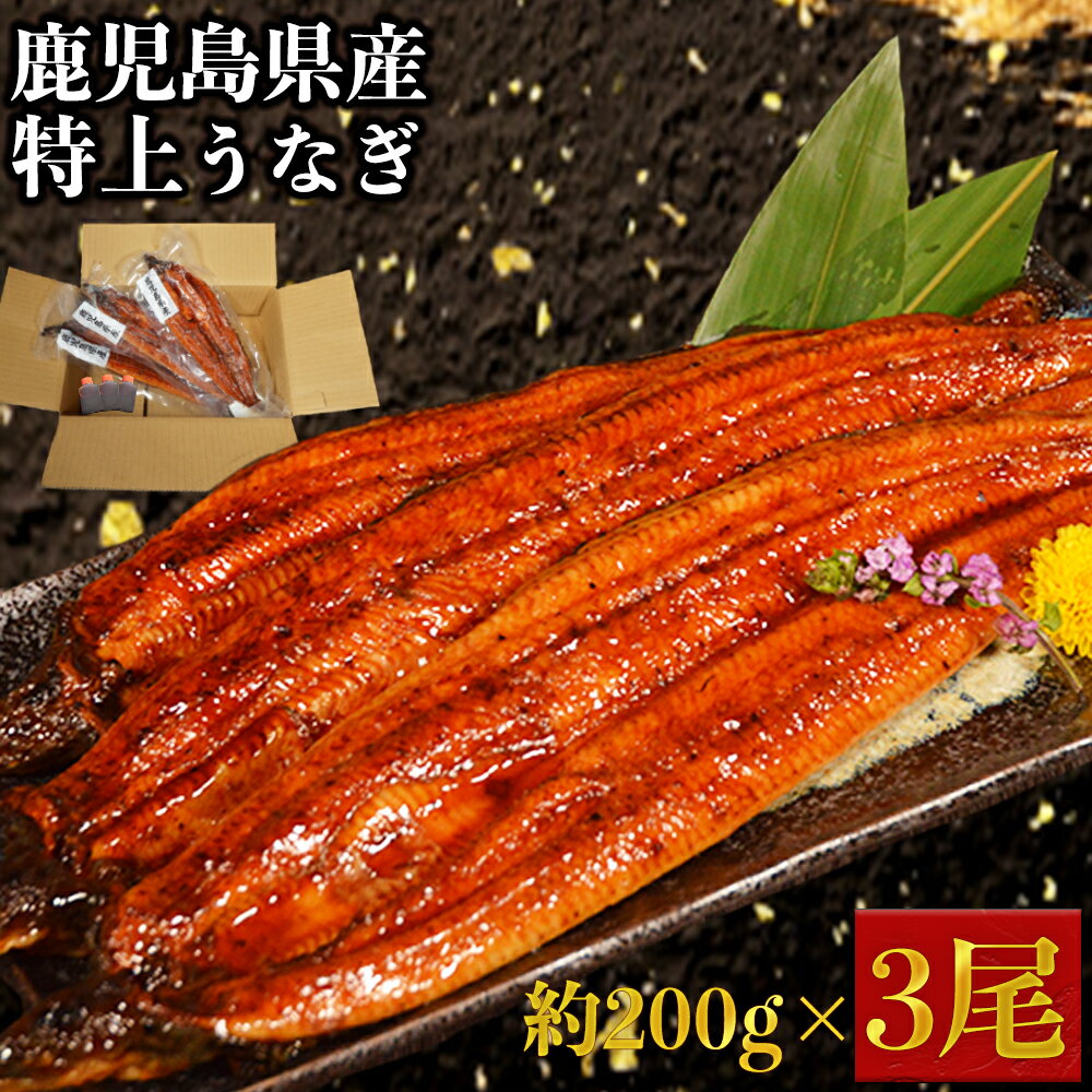 【ふるさと納税】鹿児島県大隅産 特上うなぎ 合計600g 200g×3尾 タレ付き 蒲焼き 国産 ウナギ 鰻 土用 丑の日 うな丼 うな重 お取り寄せ 冷凍 送料無料