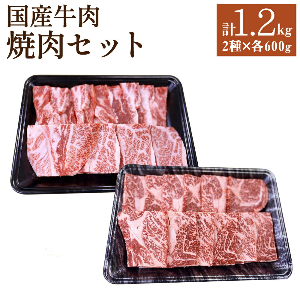 国産牛肉 焼肉セット 約600g×2種類 合計約1.2kg タレ付き 食べ比べ 焼き肉 焼き肉 ロース カルビ 国産 牛肉 冷凍 送料無料