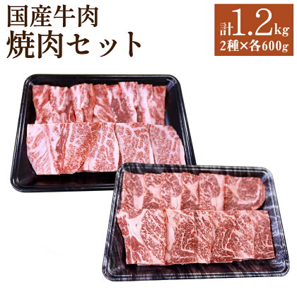 国産牛肉 焼肉セット 約600g×2種類 合計約1.2kg タレ付き 食べ比べ 焼き肉 焼き肉 ロース カルビ 国産 牛肉 冷凍 送料無料