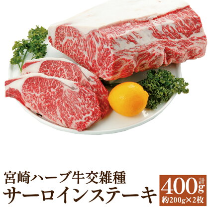 宮崎ハーブ牛交雑種 サーロインステーキ 合計約400g 約200g×2枚 サーロイン ステーキ 国産 牛肉 冷凍 送料無料