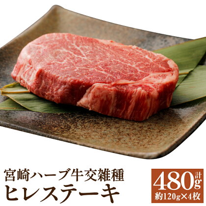 宮崎ハーブ牛交雑種 ヒレステーキ 合計約480g 約120g×4枚 ヒレ ステーキ 国産 牛肉 冷凍 送料無料