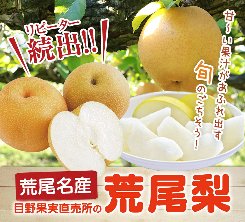 【ふるさと納税】 梨 先行予約 梨 荒尾梨 約 2 ~ 2.5 kg (5~10玉) 約 4.5 ~ 5kg (6〜18玉前後) 和梨 なし 秋 旬 熊本県 荒尾市産 なし フルーツ 果物 新鮮 目野果実直売所《7月下旬-10月上旬頃出荷》 愛甘水 幸水 秋麗 豊水 あきづき のいずれか 品種の指定はできません