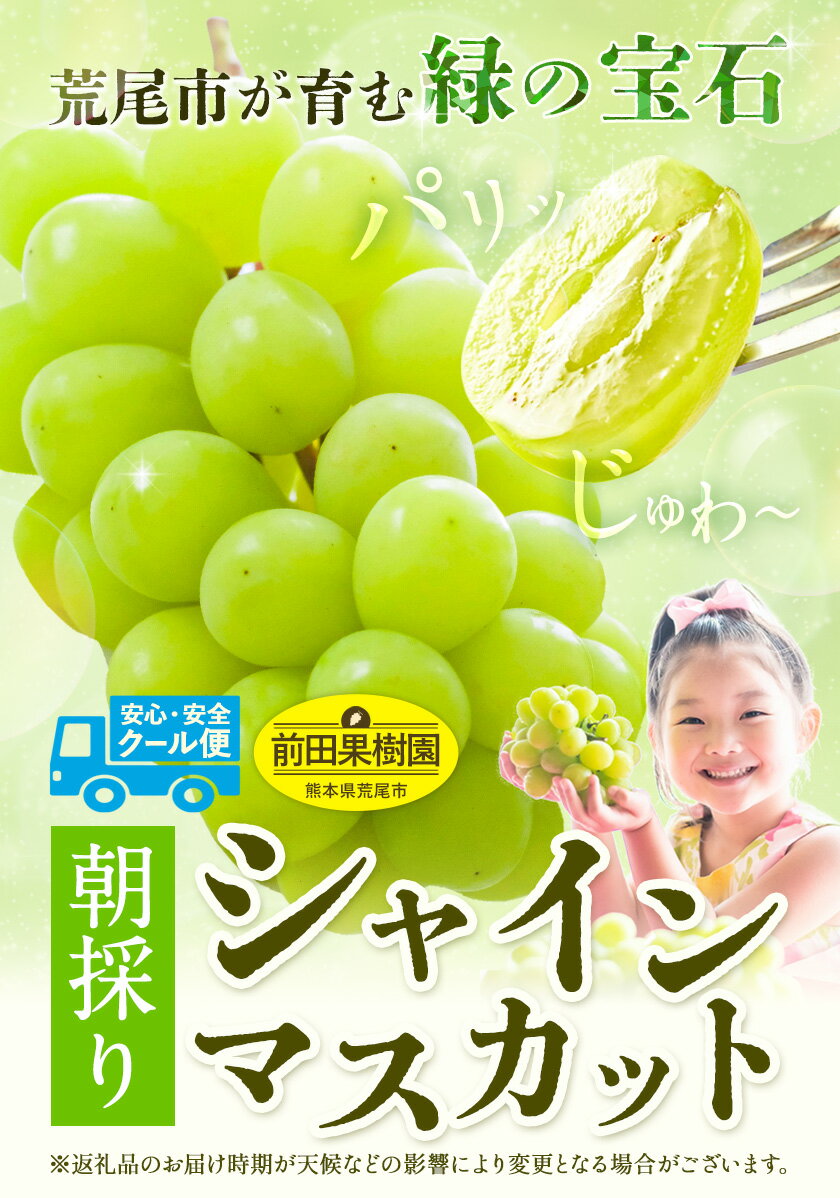 【ふるさと納税】シャインマスカット マスカット 朝採り シャインマスカット 選べる 2kg 3kg 4kg 前田果樹園《8月下旬-9月末頃出荷》熊本県 荒尾市 旬 果物 フルーツ デザート ふるーつ ますかっと しゃいんますかっと