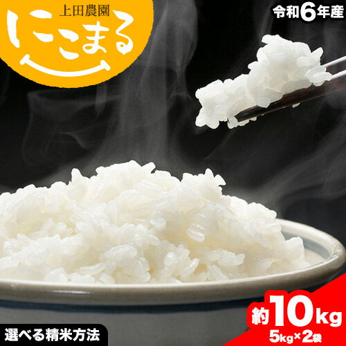 【ふるさと納税】 米 にこまる 約10kg (5kg×2袋) こめ コメ 白米 または 玄米 上田農園《30日以内に出荷予定(土日祝除く)》 熊本県 荒尾市 米 白米 玄米 こめのサムネイル