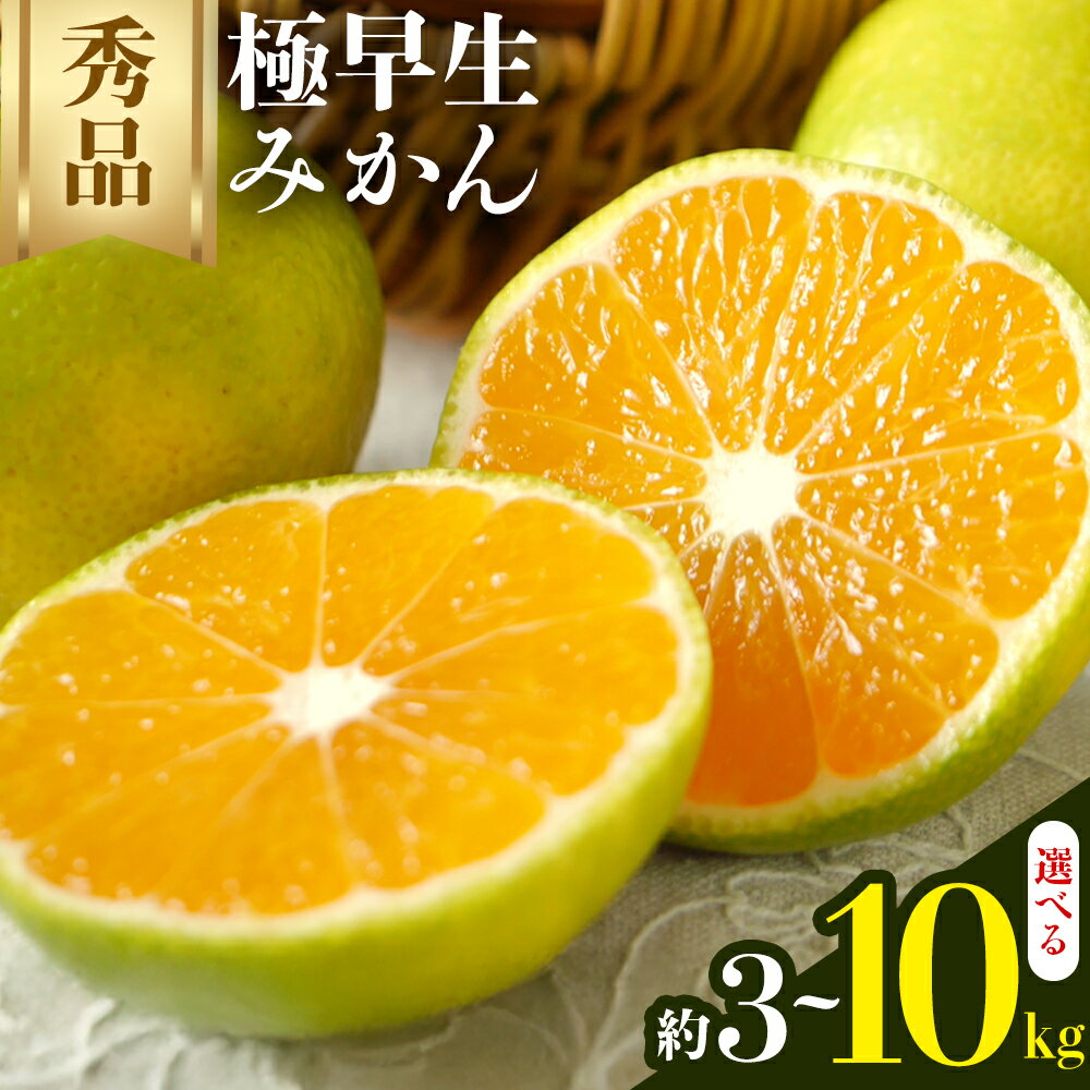 みかん 極早生みかん 秀品 選べる 内容量 3kg 5kg 10kg 日本フルーツ株式会社[2025年9月上旬-10月末頃出荷]熊本県 荒尾市 早生みかん 果物 フルーツ スイーツ デザート ギフト ご贈答