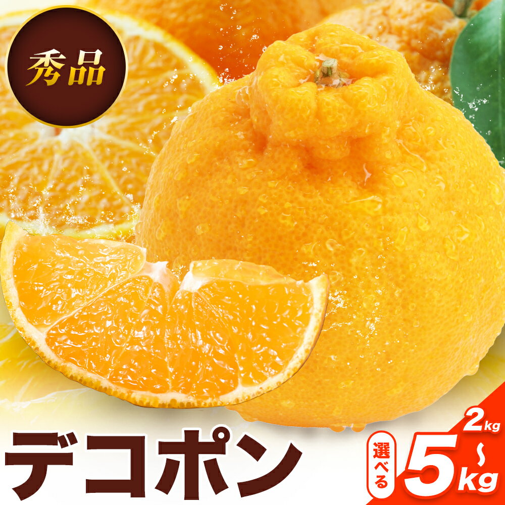 デコポン 選べる 内容量 約2kg〜約5kg 日本フルーツ株式会社 熊本県 荒尾市 [1月下旬-2月末頃出荷予定] デコポン 果物 秀品 フルーツ スイーツ デザート ギフト ご贈答