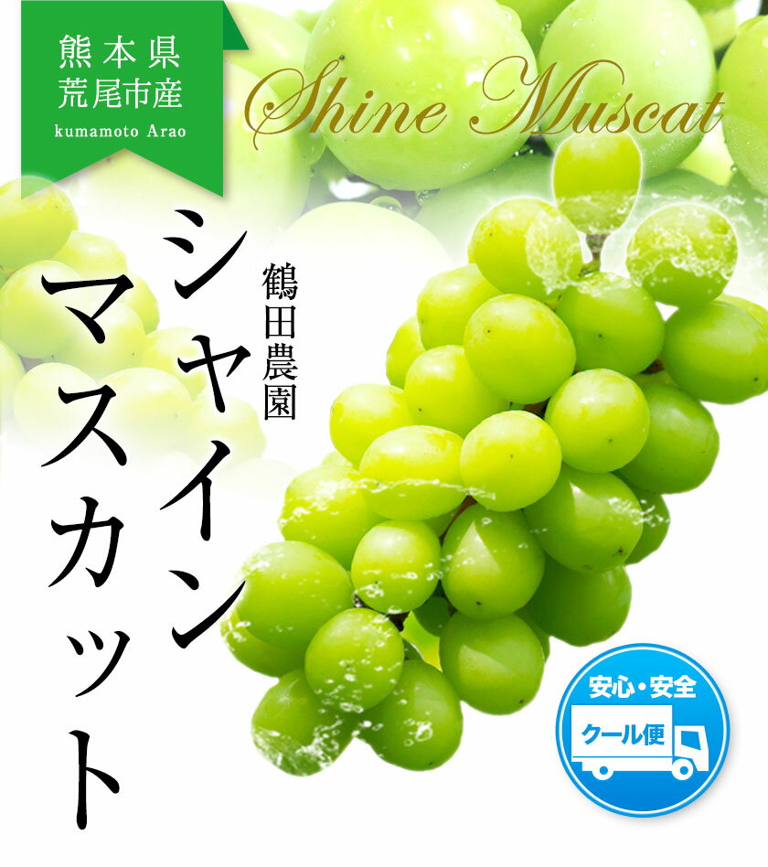 【ふるさと納税】 先行予約 シャインマスカット 選べる 秀品 優品 約600g (1房) 約1.3kg (2〜3房) 熊本県荒尾市産《8月下旬-9月下旬頃出荷予定》熊本県 荒尾市 フルーツ 果物 送料無料 葡萄 ぶどう マスカット 選べる 鶴田農園 1kg