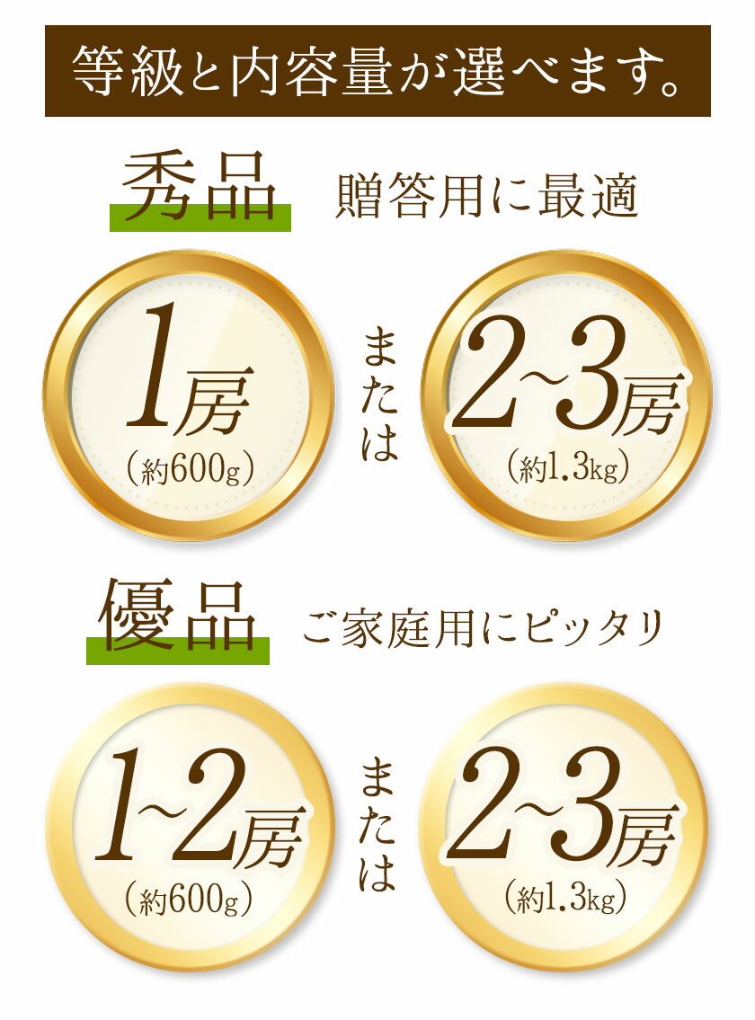 【ふるさと納税】 先行予約 シャインマスカット 選べる 秀品 優品 約600g (1房) 約1.3kg (2〜3房) 熊本県荒尾市産《8月下旬-9月下旬頃出荷予定》熊本県 荒尾市 フルーツ 果物 送料無料 葡萄 ぶどう マスカット 選べる 鶴田農園 1kg