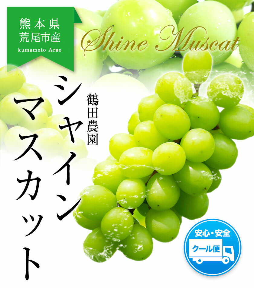 【ふるさと納税】 シャインマスカット 約600g (1房) 約1.4kg (2〜3房) 熊本県荒尾市産《8月上旬-9月中旬頃出荷》熊本県 荒尾市 フルーツ 果物 送料無料 葡萄 ぶどう マスカット 選べる 鶴田農園 1kg