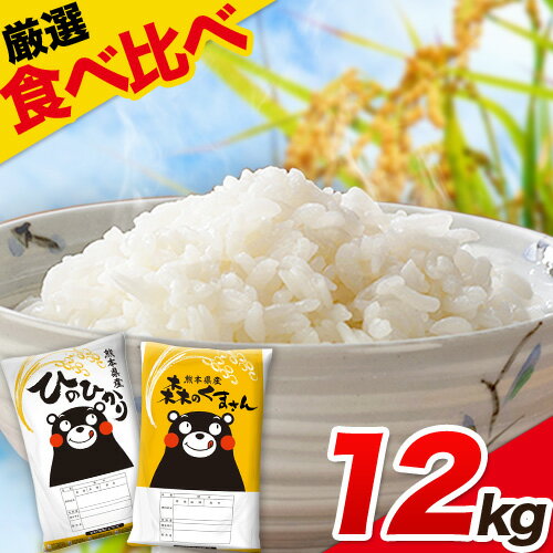 【ふるさと納税】令和2年産 ひのひかり 森のくまさん 「食べ比べ」できる厳選お楽しみセット 熊本県産 白米 6kg×2袋 計12kg 令和2年 精米 荒尾市《3-7営業日以内に出荷(土日祝除く)》