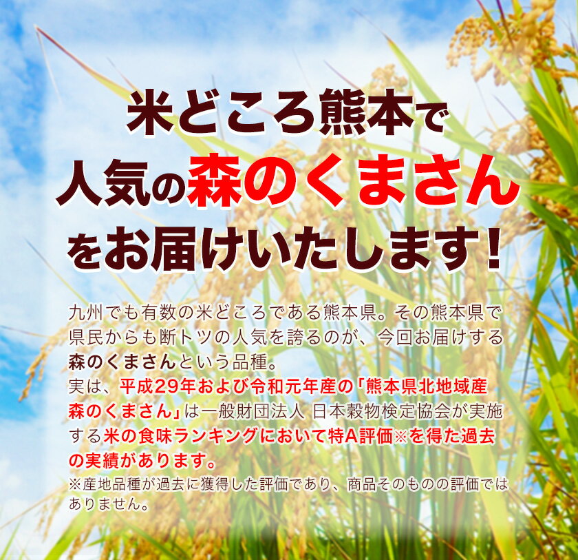 【ふるさと納税】令和3年産 森のくまさん13kg 6.5kg×2袋 白米 熊本県産（荒尾市産含む） 単一原料米 荒尾市 森くま 10000円 《7-14営業日以内に順次出荷(土日祝除く)》