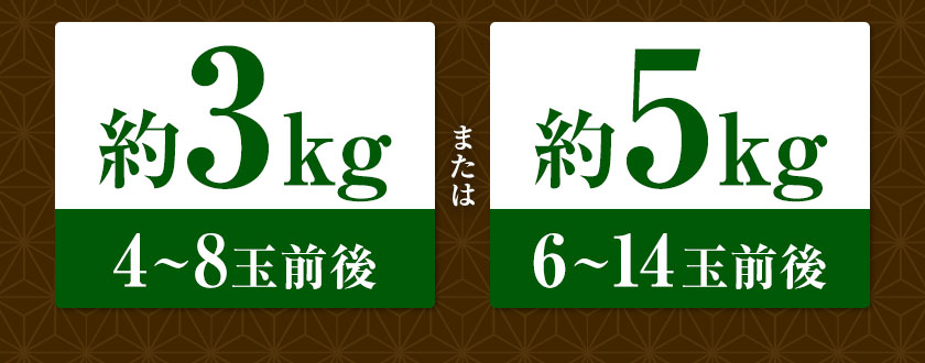 熊本県荒尾市の画像3