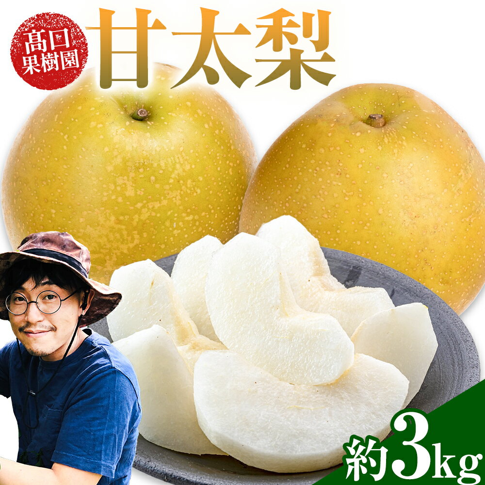 [2026年先行予約] 梨 甘太梨 約 3kg 秋 旬 熊本県 荒尾市産 高口果樹園[2026年9月中旬-10月上旬頃出荷]フルーツ 果物 送料無料 和梨 なし お取り寄せ 梨3kg 産地直送
