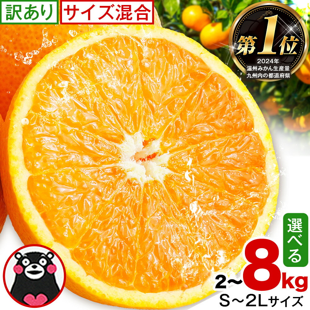 みかん 訳あり くまもとみかん 約8kg 約5kg 約2kg S-2Lサイズ サイズ混合 ご家庭用[7-14日以内に出荷予定] フルーツ サイズ混合 秋 旬 柑橘 小玉 中玉 大玉 熊本県 荒尾市 熊本県産 荒尾市産含む
