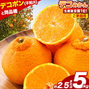 【ふるさと納税】 不知火 デコみかん ( デコポン と同品種 ) ご家庭用 訳あり 熊本県産 ( 荒尾市産含む ) 約2.5kg or 約5kg (12-24玉前後) 柑橘 《2026年2月上旬-4月末頃出荷》 みかん フルーツ 不知火 訳アリ でこみかん 果物 5kg