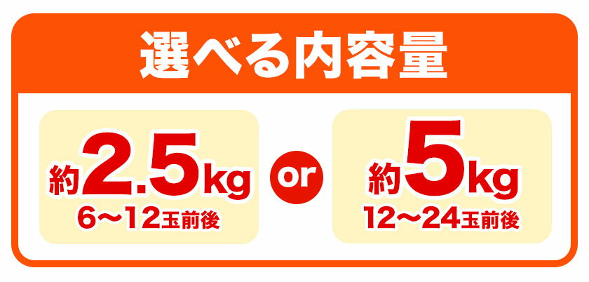 【ふるさと納税】先行予約 デコポン ご家庭用 デコポン 約5kg 前後 (約12-24玉前後) 糖度13度以上 訳あり デコポン 《2026年2月上旬-4月末頃出荷》 個別光センサー選果 みかん 柑橘 フルーツ 旬 不知火 でこぽん 期間限定 厳選