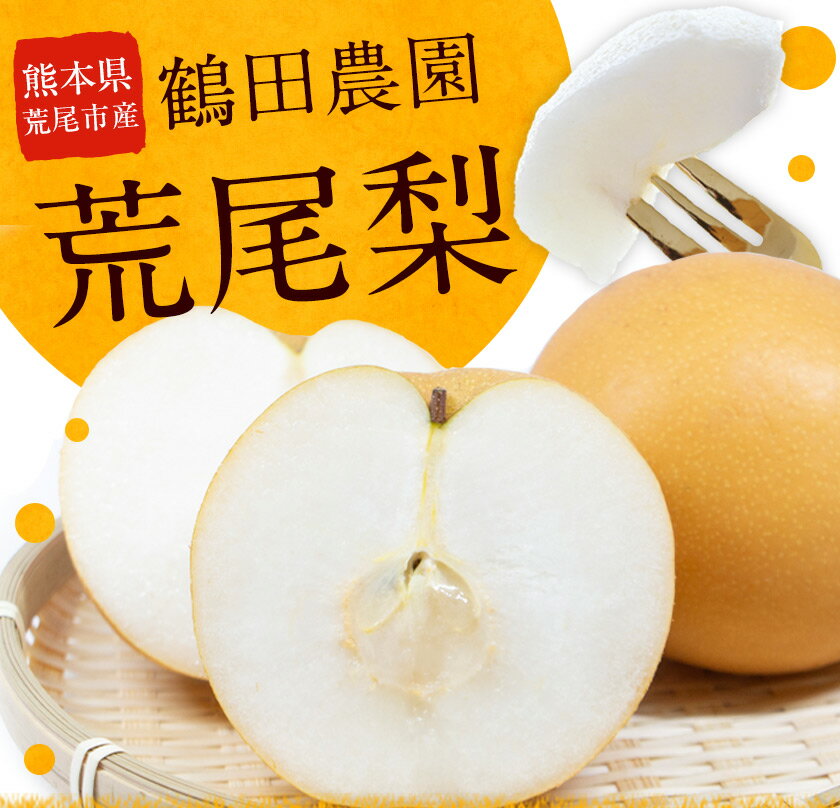 【ふるさと納税】 先行予約 梨 季節の梨 旬の品種 豊水 あきづき 甘太 のいずれか 約 2kg 5〜6玉 3kg 6〜9玉 和梨 なし フルーツ 果物 秋 旬 熊本県 荒尾市産 鶴田農園《8月下旬-9月下旬頃出荷》