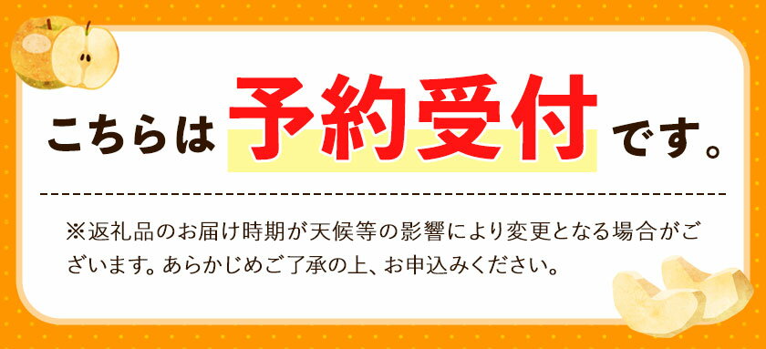 【ふるさと納税】【先行予約】 梨 荒尾梨 約5kg(6～18玉前後) 秋 旬 熊本県 荒尾市産 なし フルーツ 果物 新鮮 目野果実直売所《7月下旬-10月上旬頃出荷》 愛甘水 幸水 秋麗 豊水 あきづき のいずれか 品種の指定はできません