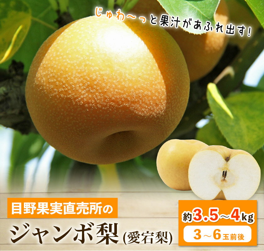 【ふるさと納税】愛宕梨 約3.5〜4kg(3〜6玉前後) 梨 秋 旬 なし フルーツ 果物 新鮮 常温便《11月下旬-12月末頃出荷》熊本県 荒尾市産 目野果実直売所 荒尾梨 青果物