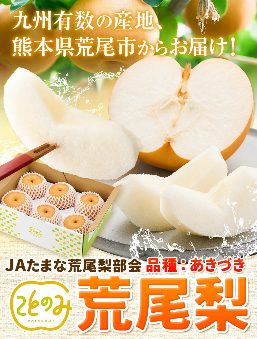 【ふるさと納税】先行予約 梨 秀品 荒尾梨 新ブランド(愛称) 「ことのみ」 あきづき 選べる 約3.5〜4kg 5kg フルーツ 果物 旬 贈答 ギフト《9月上旬-9月中旬頃出荷》熊本県荒尾市産含む JAたまな荒尾梨部会
