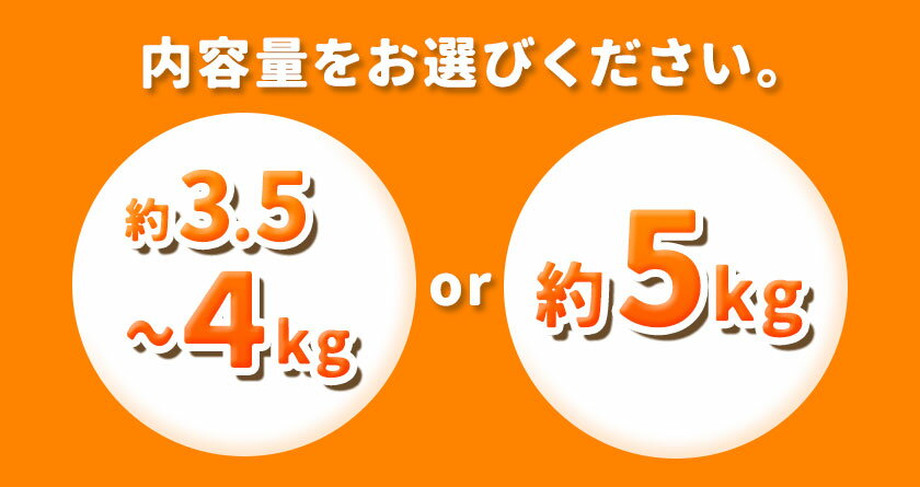 【ふるさと納税】先行予約 梨 秀品 荒尾梨 新ブランド(愛称) 「ことのみ」 あきづき 選べる 約3.5〜4kg 5kg フルーツ 果物 旬 贈答 ギフト《9月上旬-9月中旬頃出荷》熊本県荒尾市産含む JAたまな荒尾梨部会