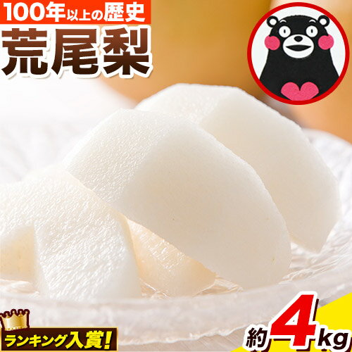 【ふるさと納税】梨 先行予約 梨 荒尾梨 約 4kg なし フルーツ 果物 旬 新鮮 《8月下旬‐11月中旬頃出荷》訳あり 熊本県 荒尾市産 デザート 旬の梨 幸水 豊水 あきづき 他4種 合計7種のいずれか…