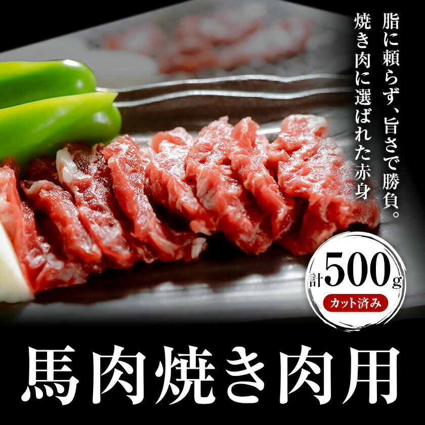 【ふるさと納税】馬肉焼肉用 500g カット済 桜屋 《60日以内に出荷予定(土日祝除く)》熊本県 荒尾市 送料無料 肉 馬肉 焼肉