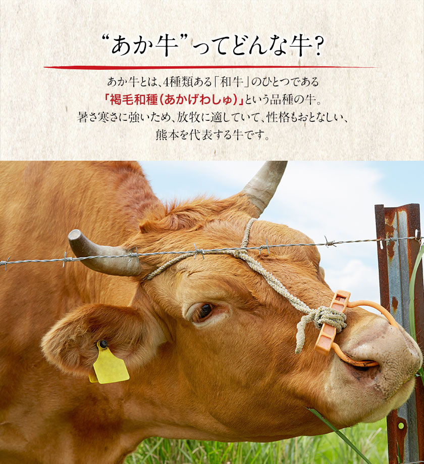 【ふるさと納税】熊本県産和牛 あか牛 すき焼き...の紹介画像3