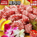 くまもと黒毛和牛 焼肉用500g《お申込み月の翌月から出荷開始》アントレ