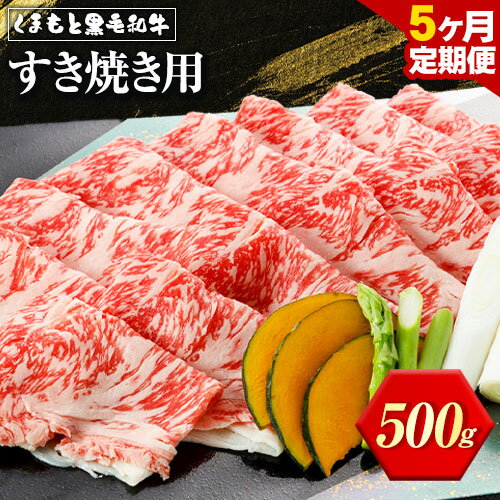 3位! 口コミ数「0件」評価「0」【5ヶ月定期便】くまもと黒毛和牛 すき焼き用 500g アントレ《お申込み月の翌月から出荷開始》定期 計5回お届け 牛肉 黒毛和牛 肉 すき･･･ 