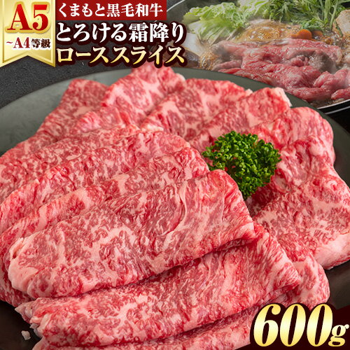 くまもと黒毛和牛 サーロイン リブロース ローススライス 600g 牛肉 冷凍 [30日以内に出荷予定(土日祝除く)] くまもと黒毛和牛 黒毛和牛 スライス 肉 お肉 しゃぶしゃぶ肉 すき焼き肉 すき焼き