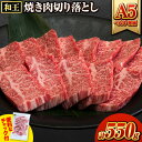 くまもと黒毛和牛 和王 バラ 霜降り 焼肉切り落とし 550g A5 A4 等級《30日以内に出荷予定(土日祝除く)》熊本県 荒尾市 黒毛和牛 牛肉 冷凍 個別 取分け 小分け チャック付き バラ凍結 肉 お肉 焼き肉 焼き肉用