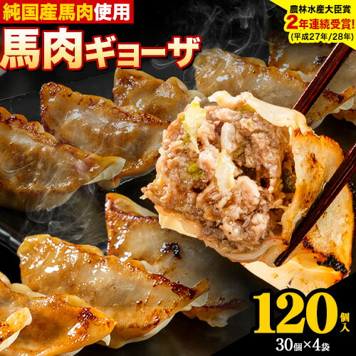 【ふるさと納税】馬肉 餃子 ギョーザ 120個 30個 4袋《30日以内に出荷予定 土日祝除く 》熊本県 荒尾市 純国産馬肉 簡易包装 熊本肥育 ぎょうざ 馬