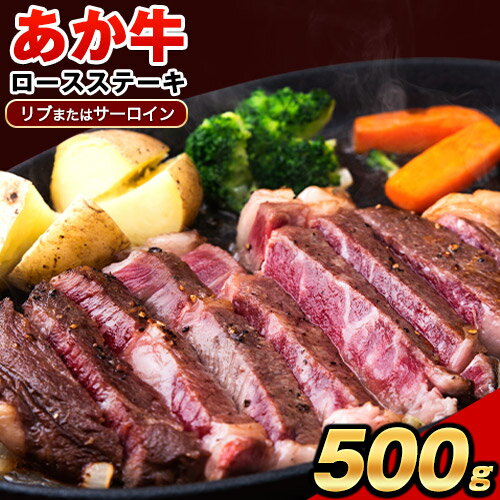 あか牛(褐毛和種)ロースステーキ (リブまたはサーロイン) 250g×2 500g 熊本県産 肉 和牛 牛肉 赤牛 あかうし リブロース サーロイン 冷凍[30日以内に出荷予定(土日祝除く)]