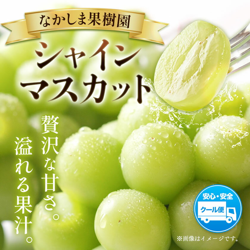 【ふるさと納税】 シャインマスカット 約700g （ 1房 ） または 約1.8kg 〜 約2kg （ 3〜4房 ） マスカット ぶどう 葡萄 フルーツ 果物 旬 なかしま果樹園 《8月下旬-9月末頃出荷》 熊本県 荒尾市 ギフト