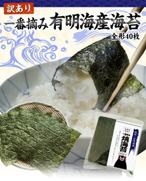 【ふるさと納税】訳あり一番摘み有明海産海苔 熊本県産（有明海産）全形40枚入り《5月中旬-6月中旬頃より順次出荷》