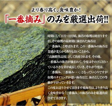 【ふるさと納税】訳あり一番摘み有明海産海苔 熊本県産（有明海産）全形40枚入り《5月中旬-6月中旬頃より順次出荷》