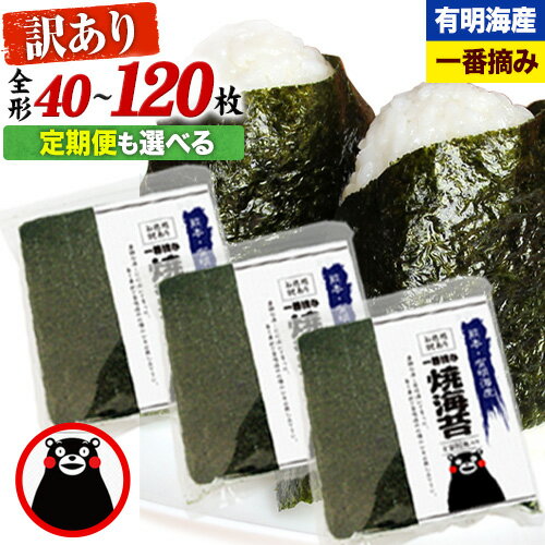 【ふるさと納税】 海苔 訳あり 一番摘み 海苔 全形 40枚～120枚 有明海産 のり 熊本県産 ＜内容量をお...