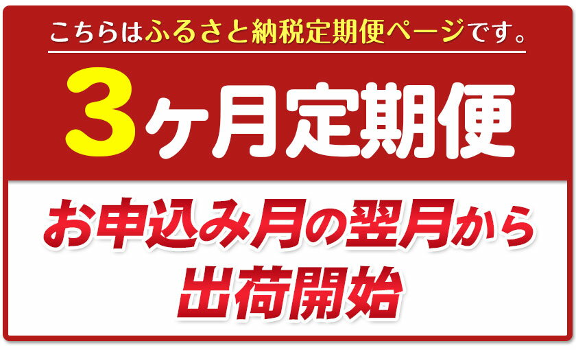 【ふるさと納税】★3ヶ月定期便★ 仏様花1束《お申込み月の翌月から出荷開始》椿原園 初回のみ 花瓶付き お花 花 お仏壇用 お供え