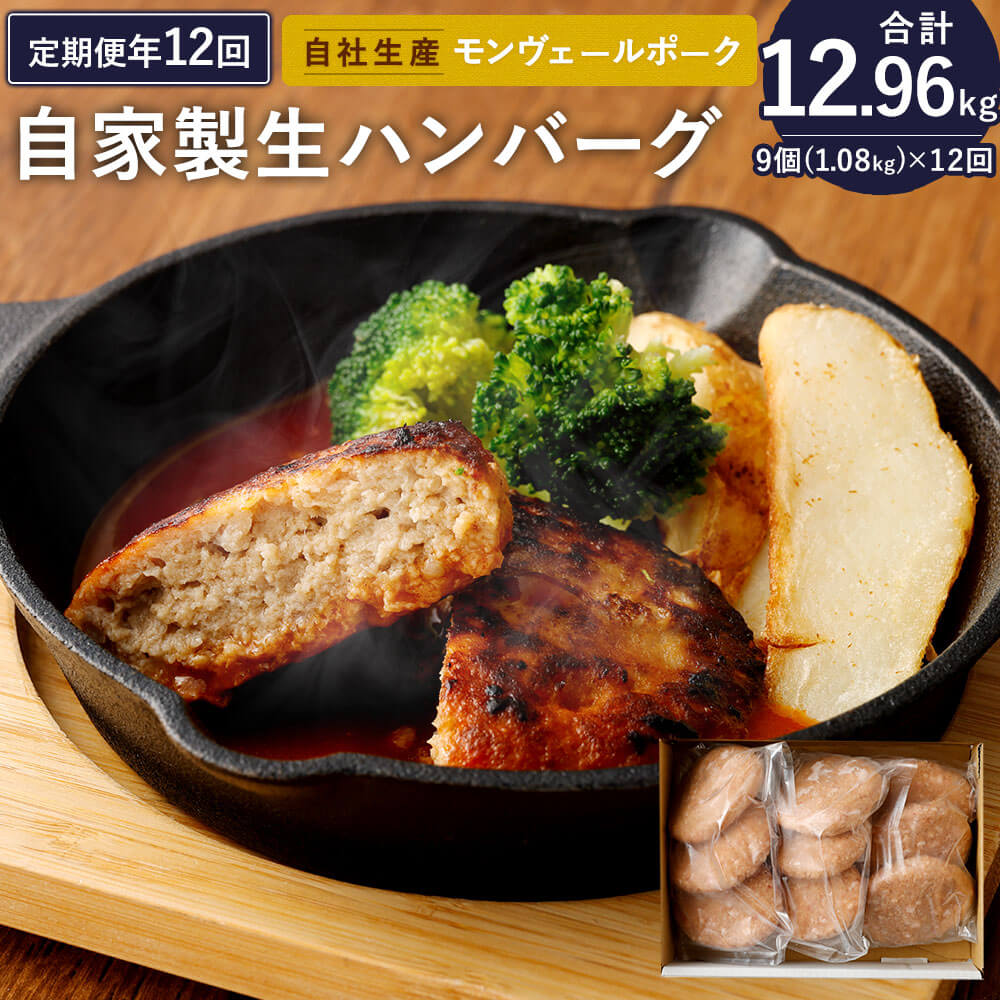 定期便 年12回 熊本県産 モンヴェールポーク 自家製 生ハンバーグ 合計9個 120g×3個入り3パック 豚肉 国産 九州産 冷凍 送料無料