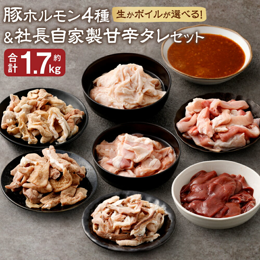 【ふるさと納税】生かボイルが選べる! 豚ホルモン4種 & 社長自家製甘辛タレ セット 計約1.7kg 約5~6人分前 ホルモン 新鮮 生 ボイル レバー 豚 豚肉 肉 お肉 味噌だれ 調味料 国産 九州 熊本 冷凍 送料無料