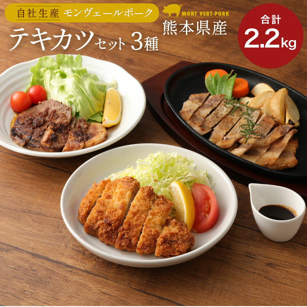 モンヴェール農山 熊本県産モンヴェールポーク3種類テキカツセット 豚肉 肉 惣菜 冷凍 食品 詰め合わせ 九州産 熊本県 水俣市 送料無料